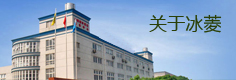 關于冰菱
